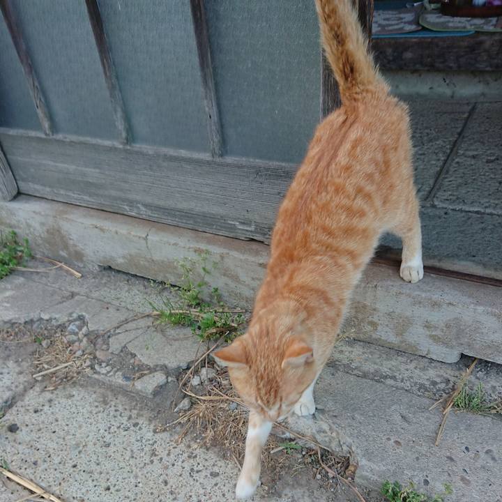 D9214a7d 6e31 45ed 891a a5e99975c019 1558084690707