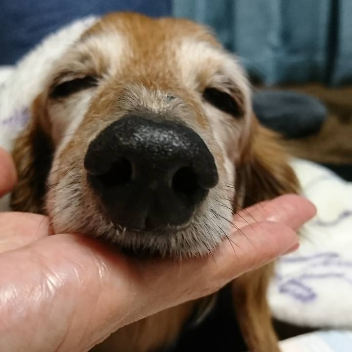 D9216ea9 ba61 440a bd9c b51e301e90ca 1518870753394