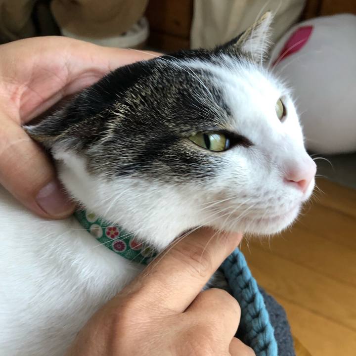 D9220220 eccc 450e b4d1 4763e2f3283c 1594607430432