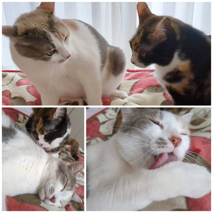 D9221eee a82d 4711 8600 d0ec8b1ab765 1682305854280