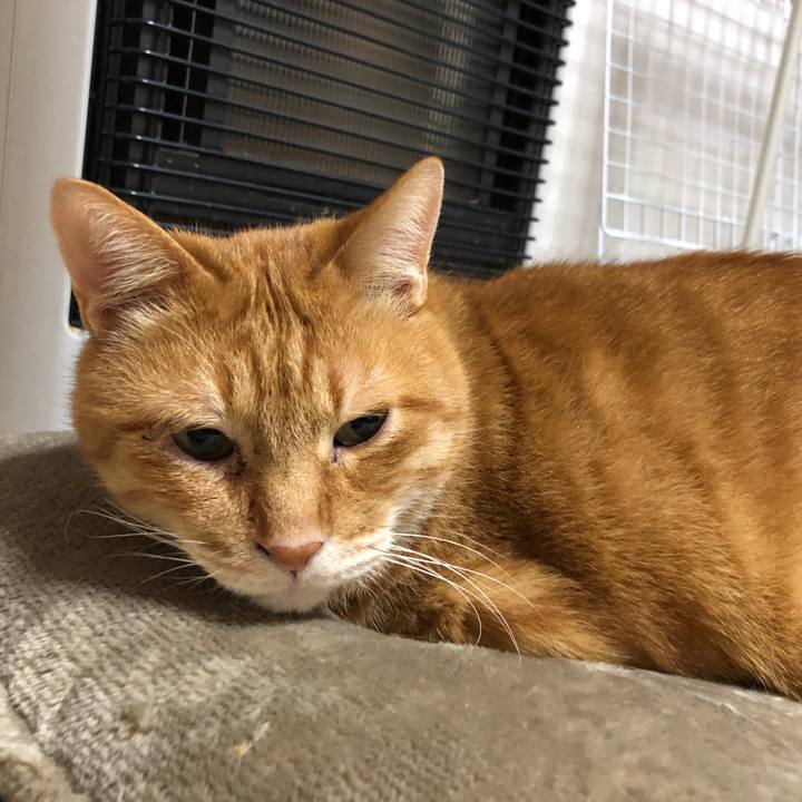 D92227a4 a3a9 4722 ba5c 91f2bcbdc3ea 1671535240306