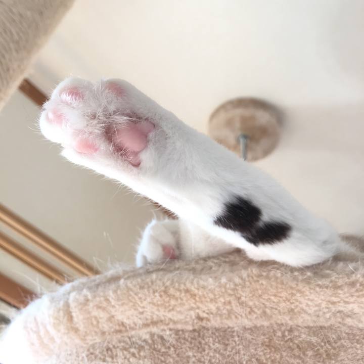 D9222a5d 3961 426c ac13 40a0e23d0873 1522285314285