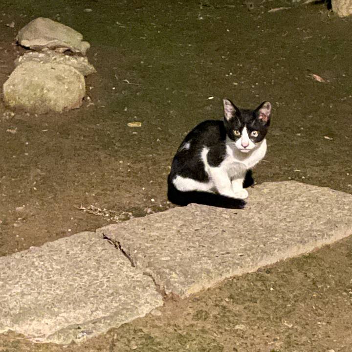 D9223b40 0ed2 4c90 8630 772630e48f04 1658253253099