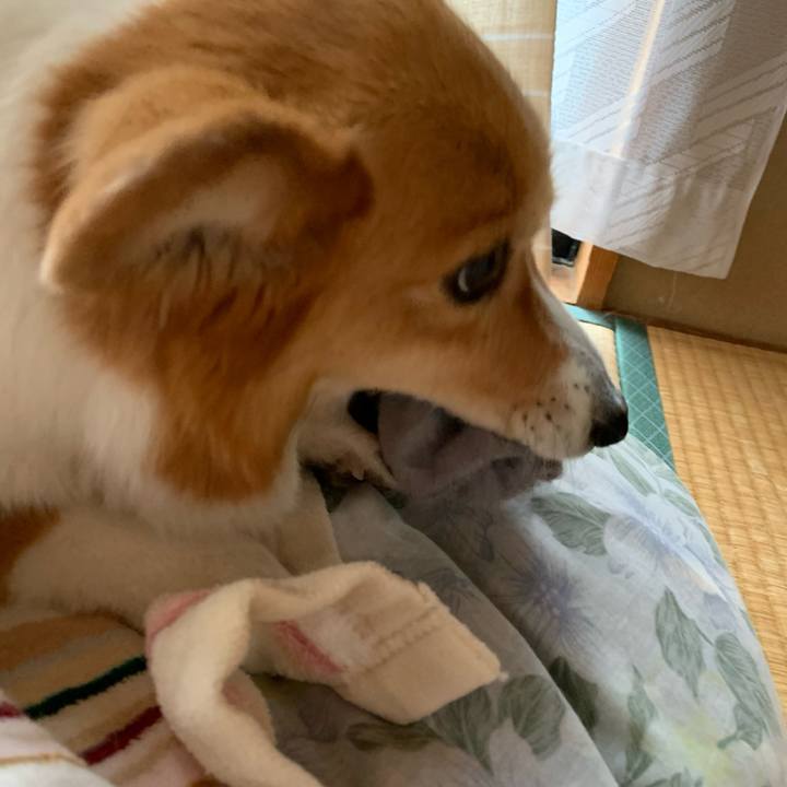 D9227c33 1bc9 4768 a8d3 b679f6a751d0 1652063939203