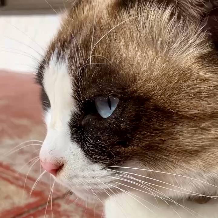 D9229787 8362 4c27 b612 3aaf63224a64 1736733166880