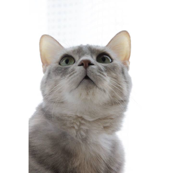 D922baa7 6102 4a8d 9729 0a8cfa329088 1650180585802