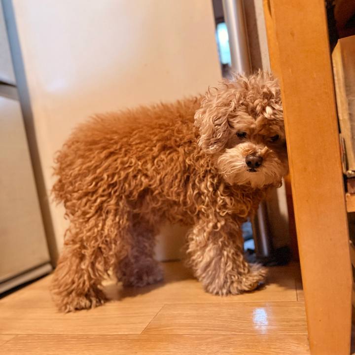 D922c52d 4c58 4307 8803 6bfd5569b8a5 1770436738282