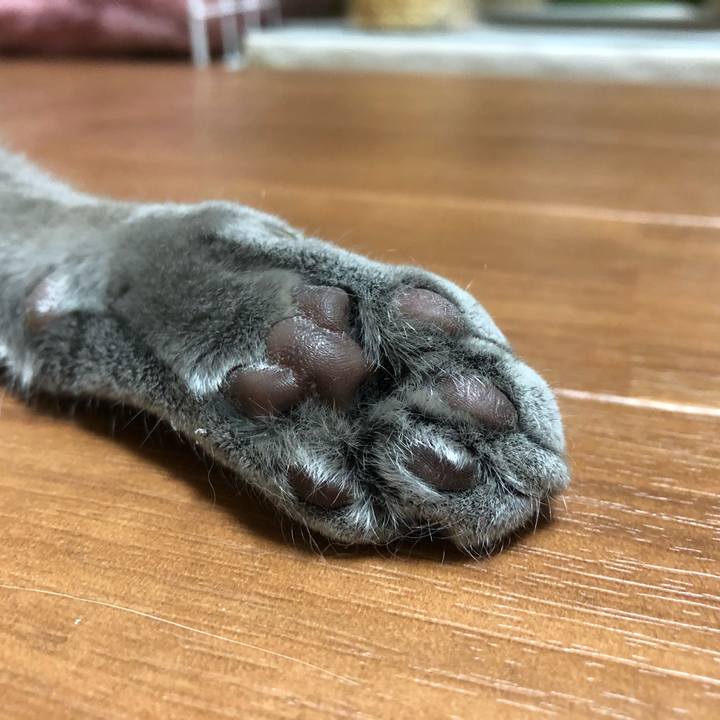 D922edaa 93ed 4afa 8346 c2c2b99583f4 1551431971525