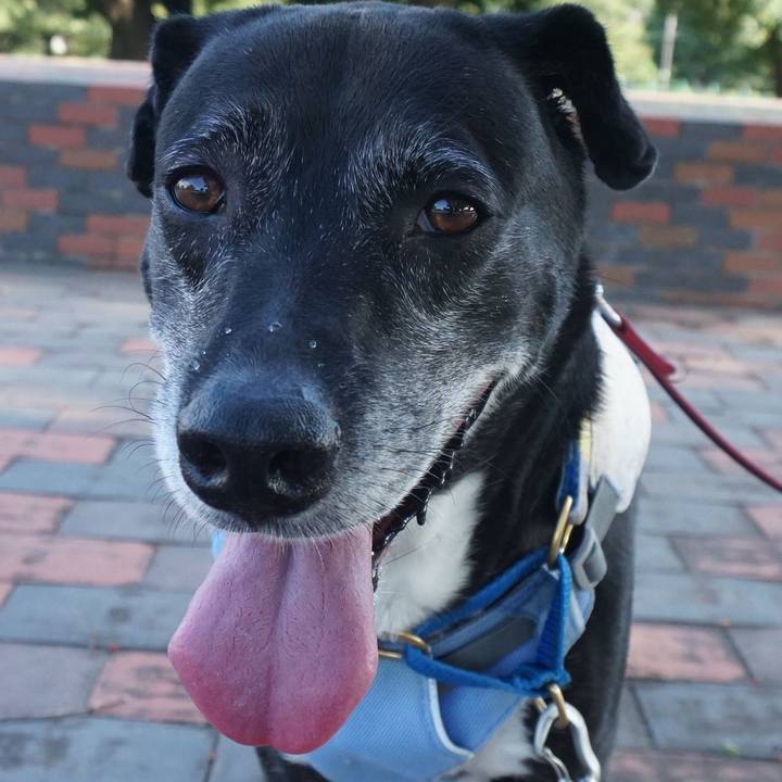 D9231bc7 1ff9 4c88 b377 192b1f68be24 1755387733851