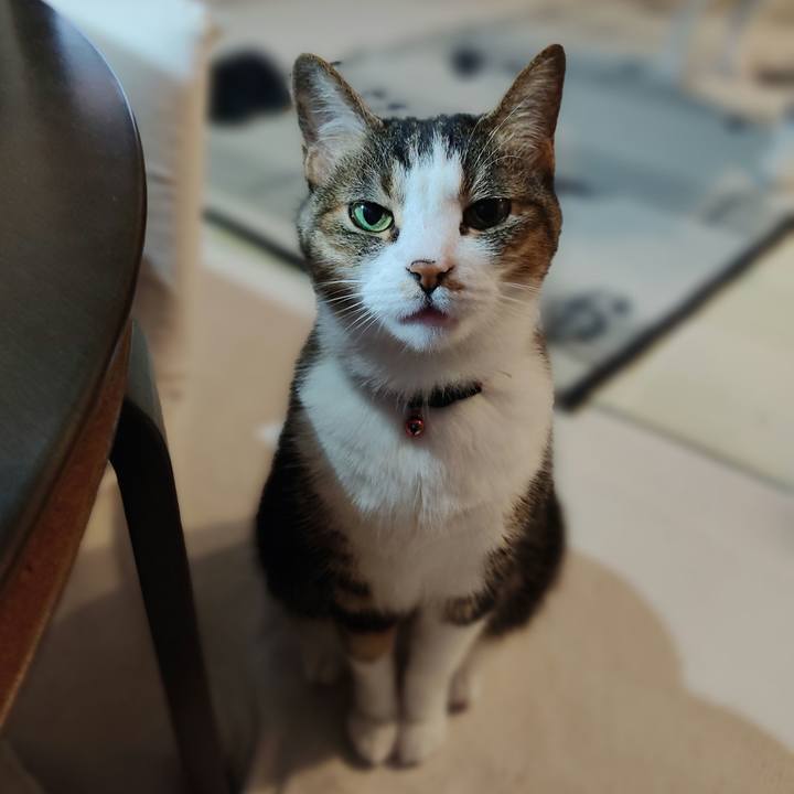 D9236320 eda0 43cf a14f 2ff875a19f9f 1659000871057