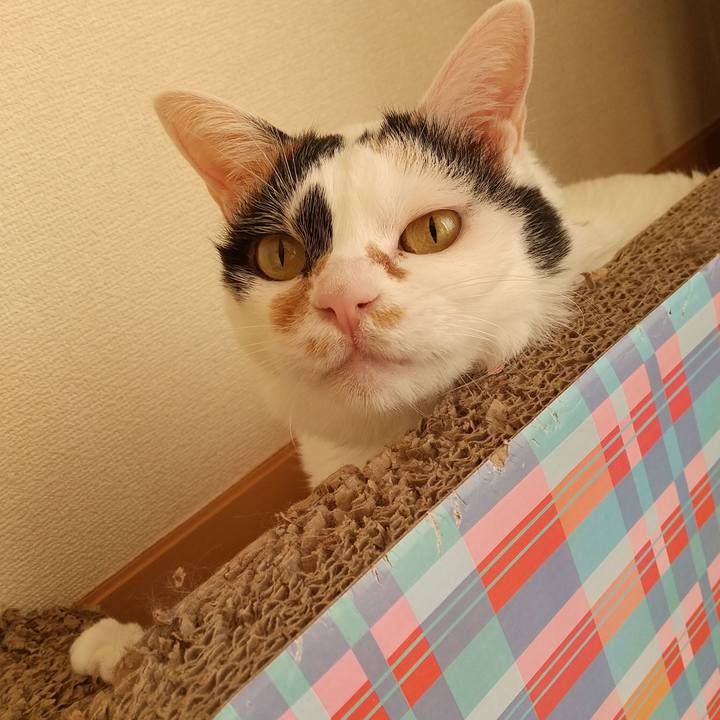 D9237979 4403 4fd2 90bc f46cb38312ba 1608078048281