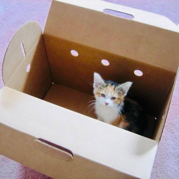 D9237ddf d122 4dd1 9521 b6264f0e0bea 1727595873879