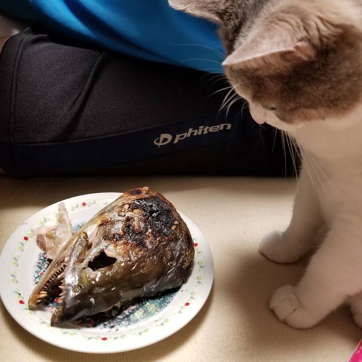 D923acf7 051a 4eb2 af2e b6276eeb3223 1670028465428