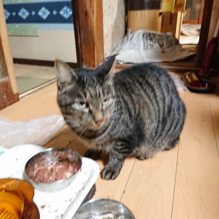 D923bb03 7230 46e4 8c25 bc4d60e535fb 1632832774137