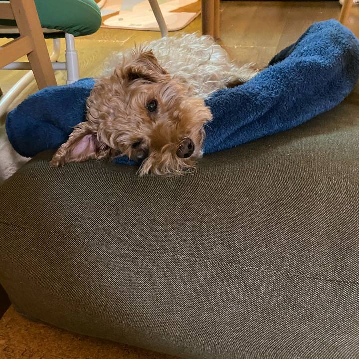 D923ce77 c933 4df2 aaed f94199021584 1669542516260