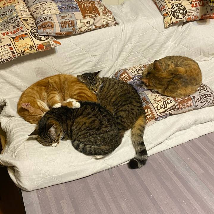 D923de65 de4e 451c b91e 6ebbd3d8ae36 1617973857380