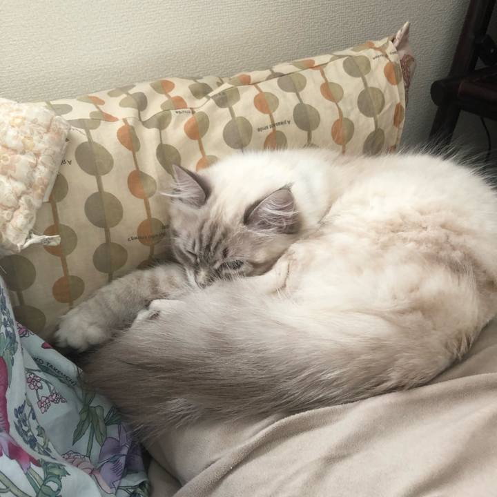 D923f1fb 3736 4f02 801a 391bbb31ad83 1680996651054