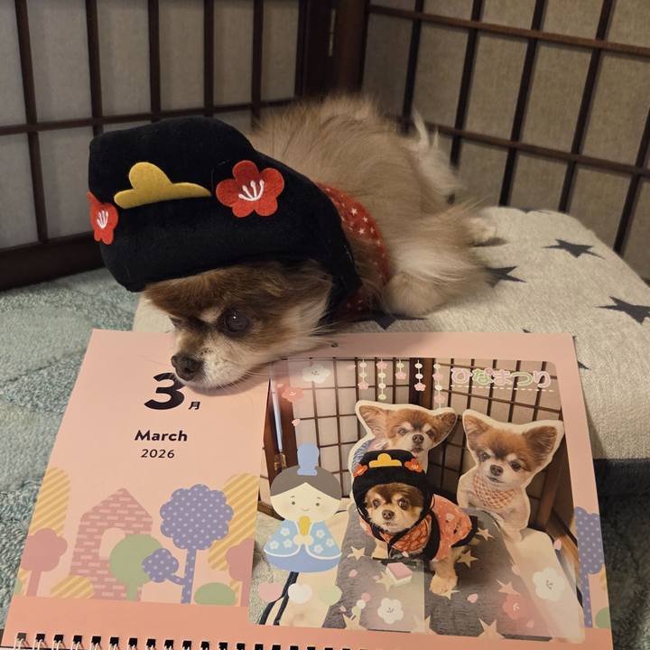 D9243767 fe31 42e1 a18c e2ed9a6b4009 1772322780744