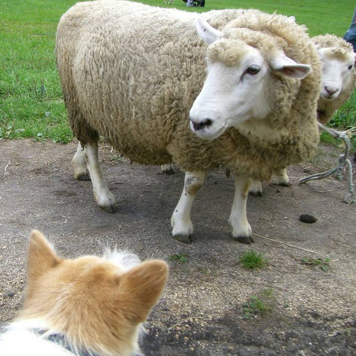 D9246a49 5dc4 4b79 b63f 9e5744540cba 1528637011269