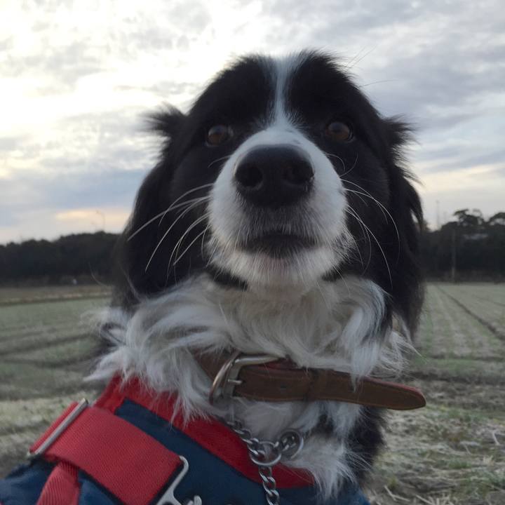 D9247ddd 2962 425c afc9 9d7dd3d9eef0 1515278364300