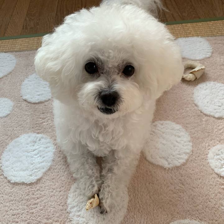 D924c4a6 fbf5 447e 8ace 61aab0f86711 1576036205816