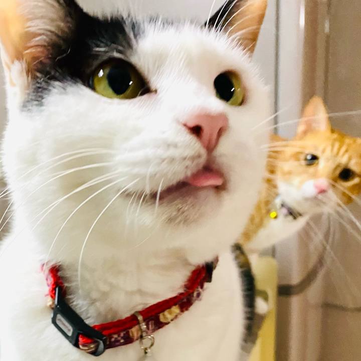 D924d80d f4e0 4741 ac36 b1f6442e408b 1669637046544