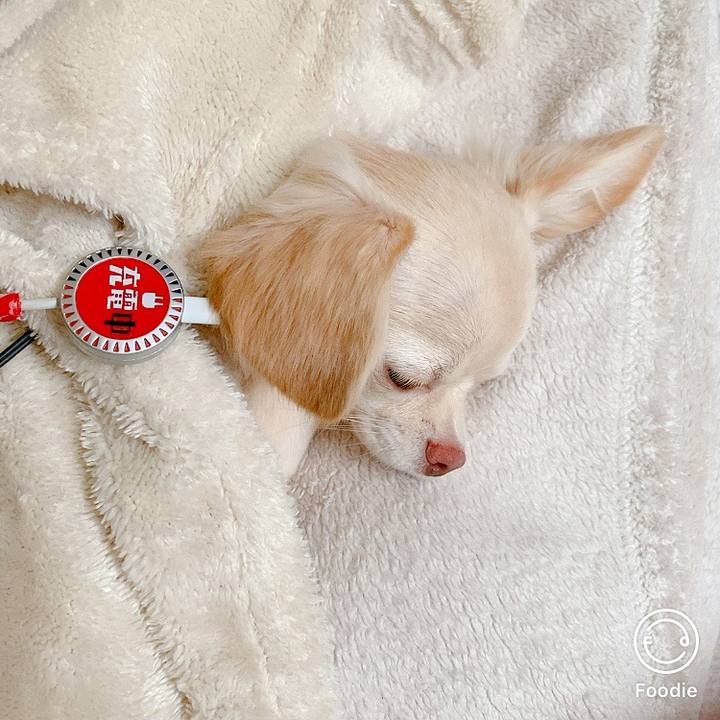 D924ef27 32ea 42e9 be1a 21cfe3b71d9d 1600902323228