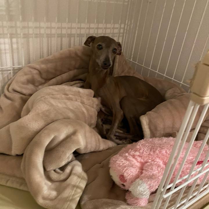 D924fa91 ed06 4507 b8c8 ba88ddc73295 1767614104313