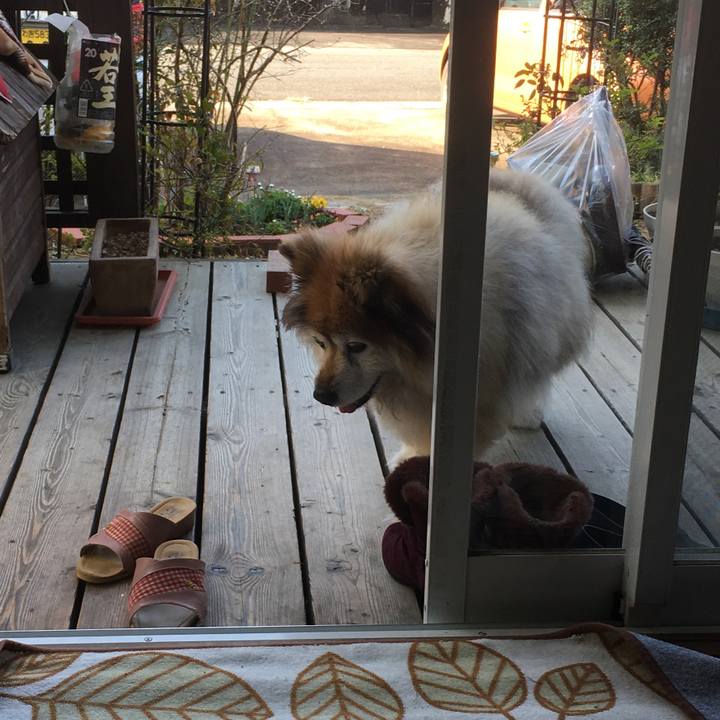 D9250483 d602 41b9 b806 91d87352fafd 1553236660374