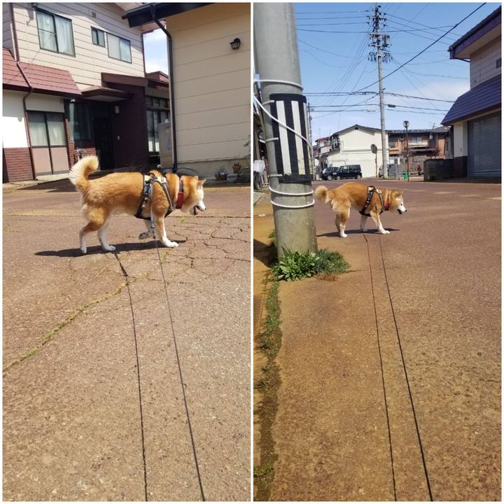 D92523b1 2ae8 470d ba60 e6f5f8b5e4a3 1743389137145