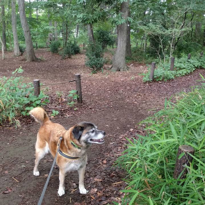 D9253836 fd42 4e55 a6b5 b251f63fefdf 1528243854552