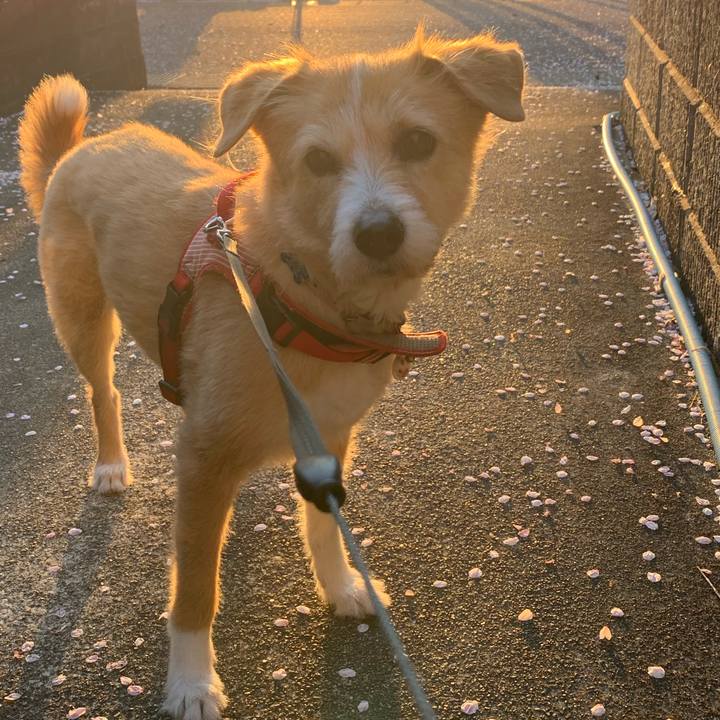 D9255c50 2658 43fc 9ff8 141693f126be 1649150186395