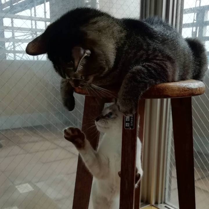 D92570b2 9fba 4f8e b5a9 85f043c62d4b 1536566413142