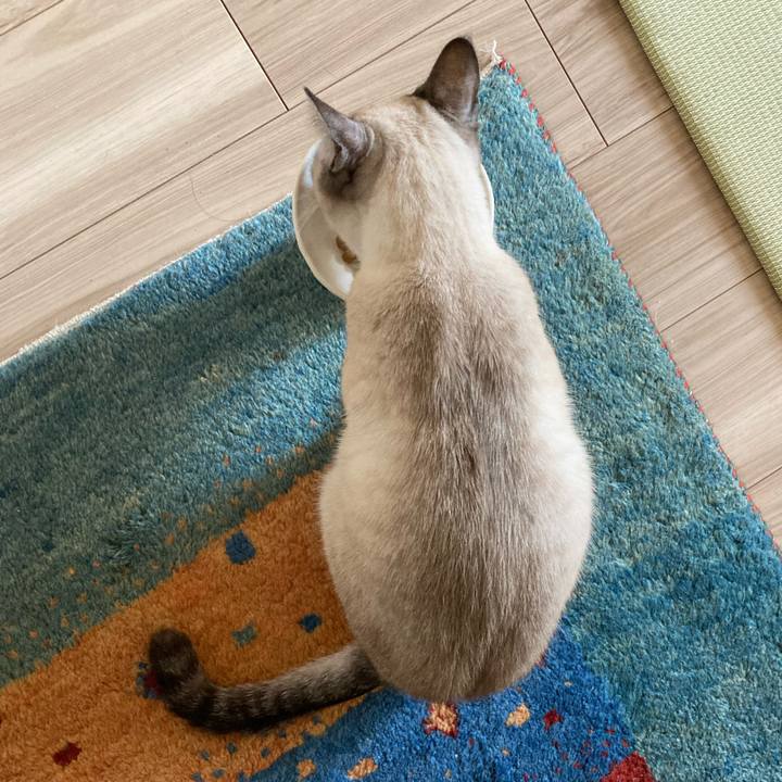 D92594e2 88b3 4824 a6d1 6c5b32520210 1675993158267