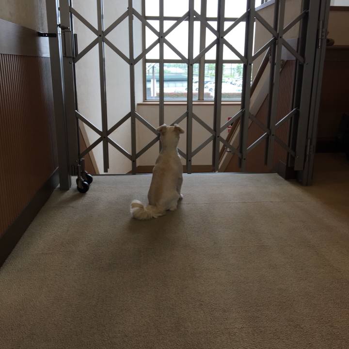 D925a1e4 9c99 4a6b b24c 43cd506263e4 1525694353407