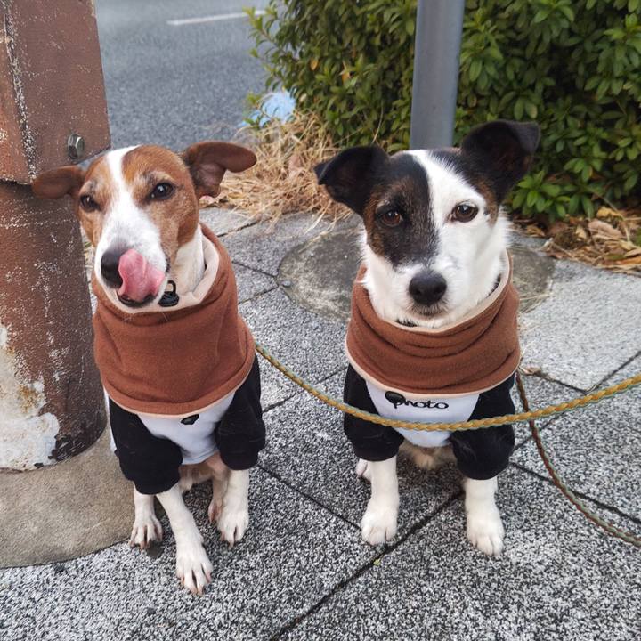 D925c3b0 487d 4e44 a075 9e96a9a88b7a 1737928063815