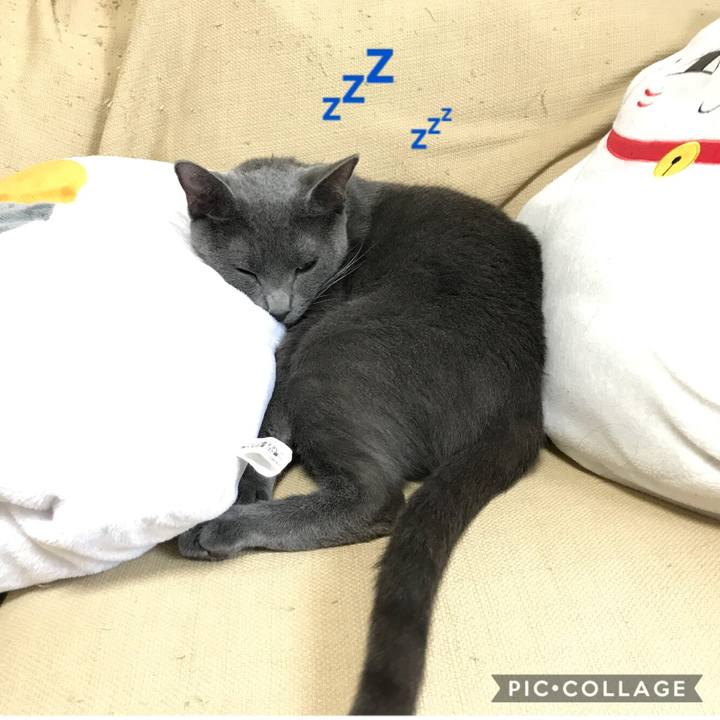 D925c9b3 48d8 4b33 90c7 6525f119efed 1522392895389