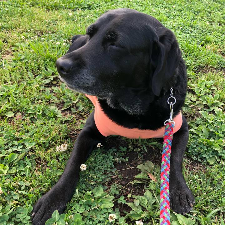 D925cdd1 8494 48a0 9e58 8ac3b9c8912a 1524697033056