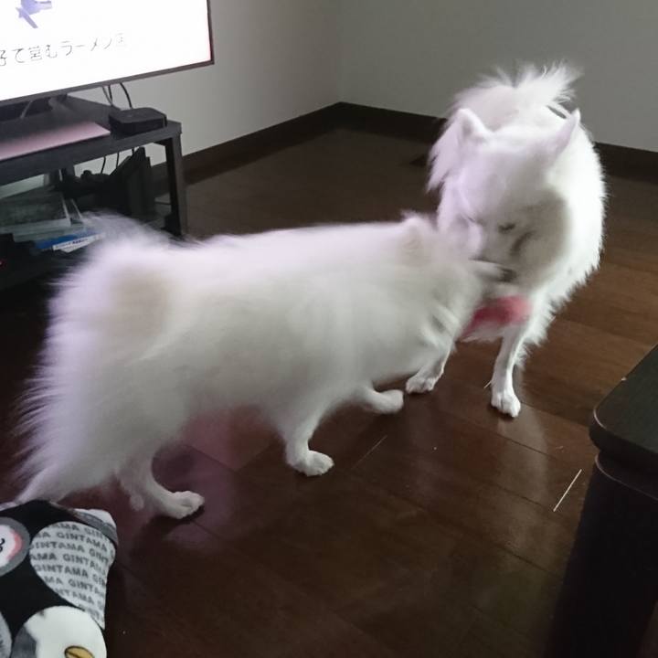 D925d958 4eb5 4c6c bf82 2036ff477d49 1551590582602