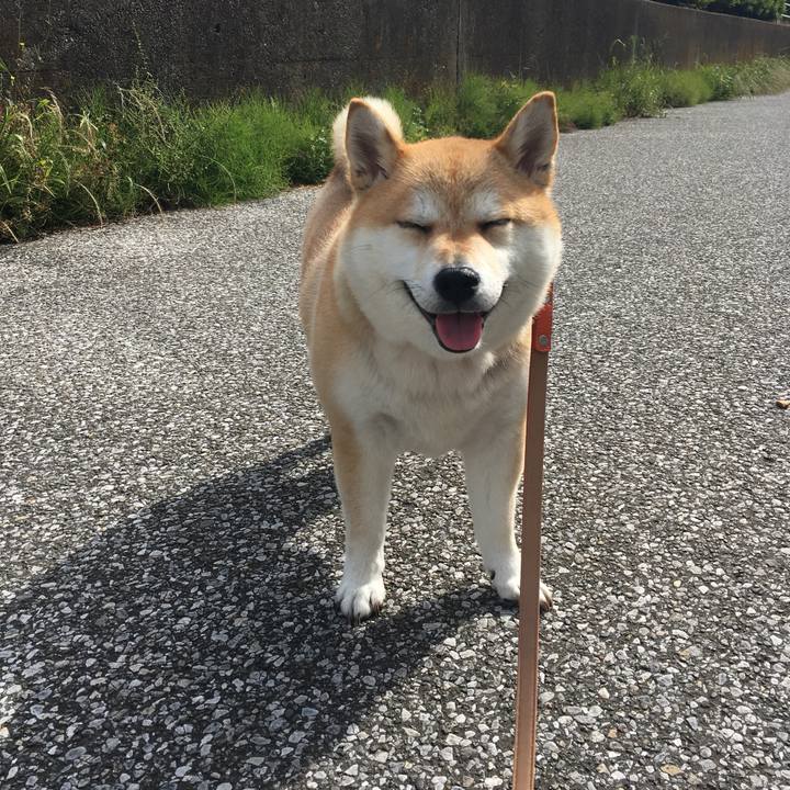 D925d9d1 084d 4060 b34b 5a680afe9d8c 1559259692519