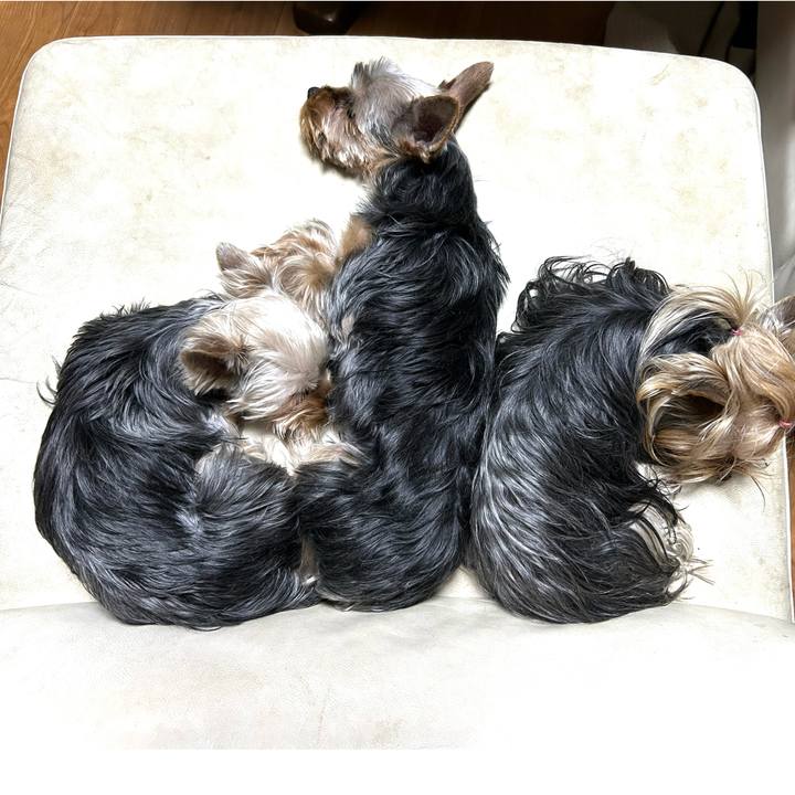 D925dc9c 4678 4f24 ab53 5cbdb81d5060 1740312729526