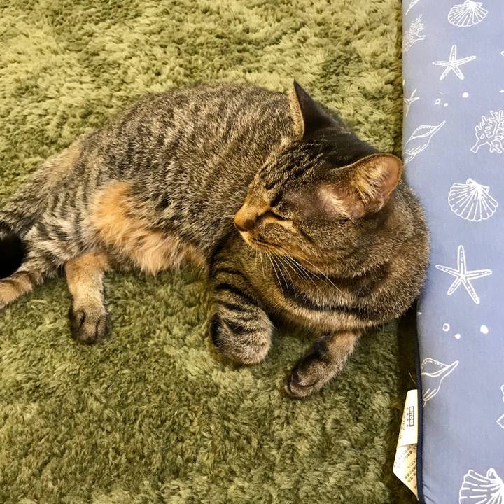 D925ea17 8c18 49c9 80b3 fb96269bfbd1 1538456291634