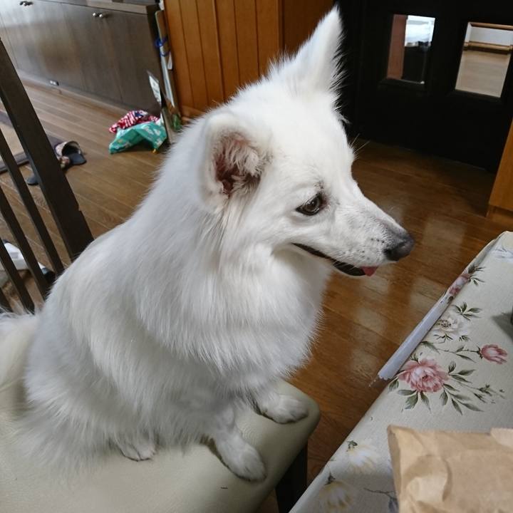 D925f11d 006f 4726 8062 8232677ae3b1 1527309461399