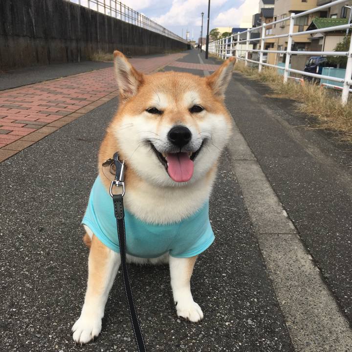 D925fcf3 b353 4082 a520 2b95cbea8cbe 1541831270427