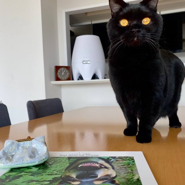 D926351c 6ad0 4fac 8079 cb8da48d9bc6 1646108123382