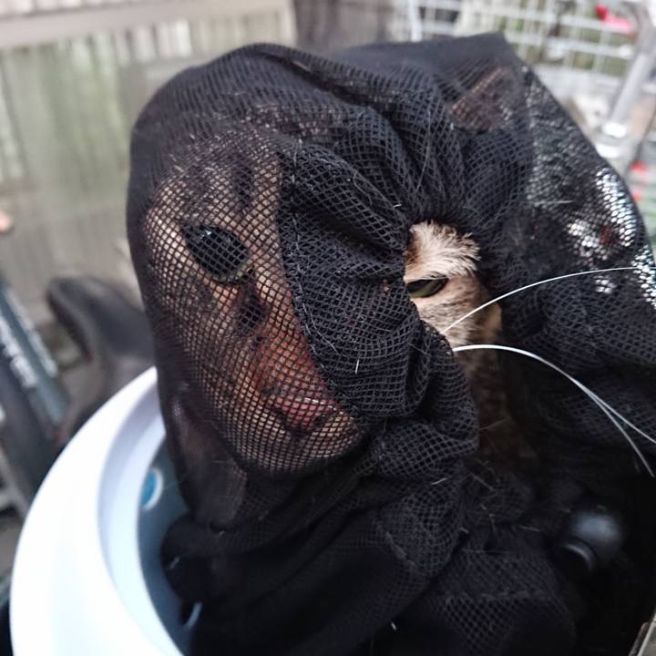 D9266321 7c18 4ebb 8655 5ebef27863b1 1556789838957