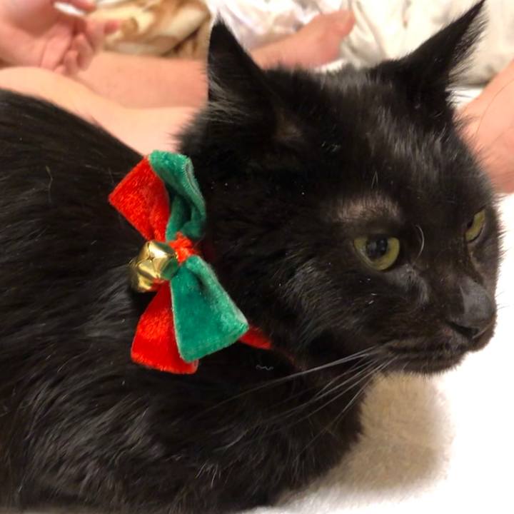 D92673c8 9748 433e af72 c68a9a18d326 1577105487918