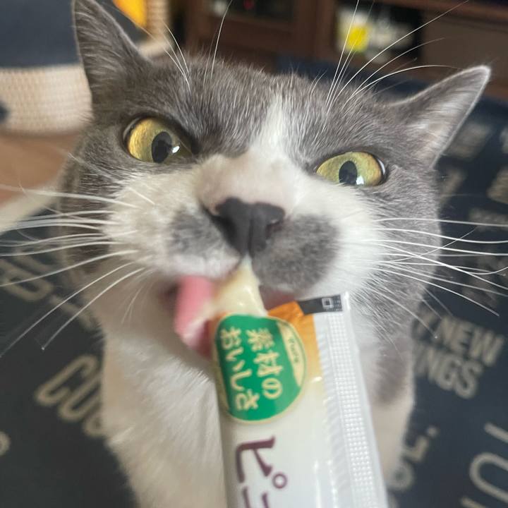 D9267c85 2294 4a44 956c f8561dd00506 1721632690127