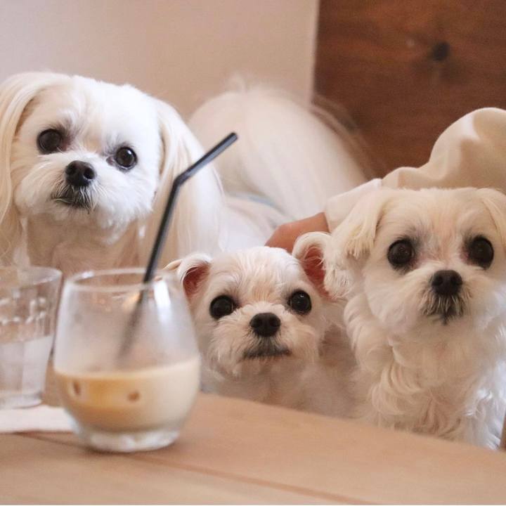 D926c3b6 1535 46de b6e0 373c47f72c41 1683896554880