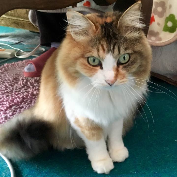 D926c57b 1168 4aab 8b4b 038f49a921ab 1556142273701